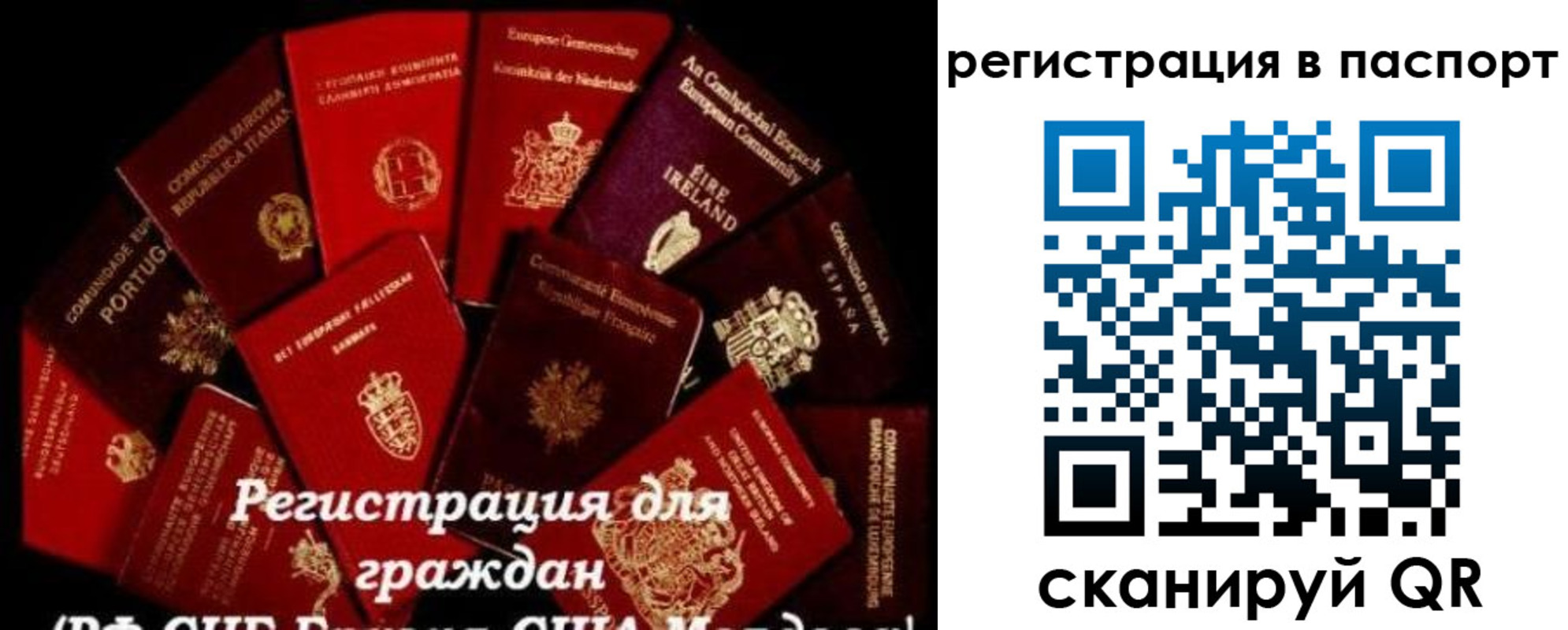 миграционный учет в Тавде